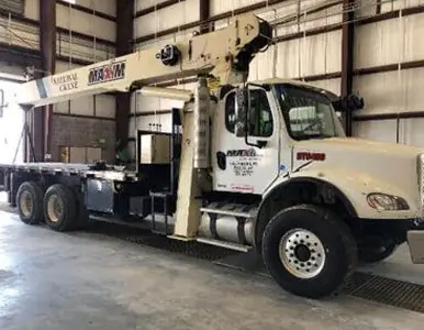 Cranes Images