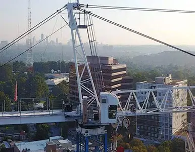 Cranes Images