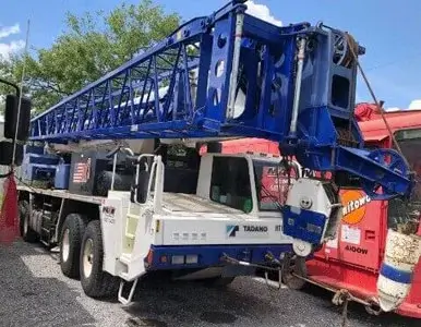 Cranes Images